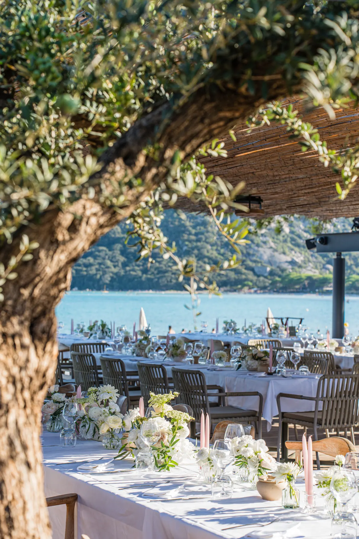Mariage A&P à Porto-Vecchio — photo 25
