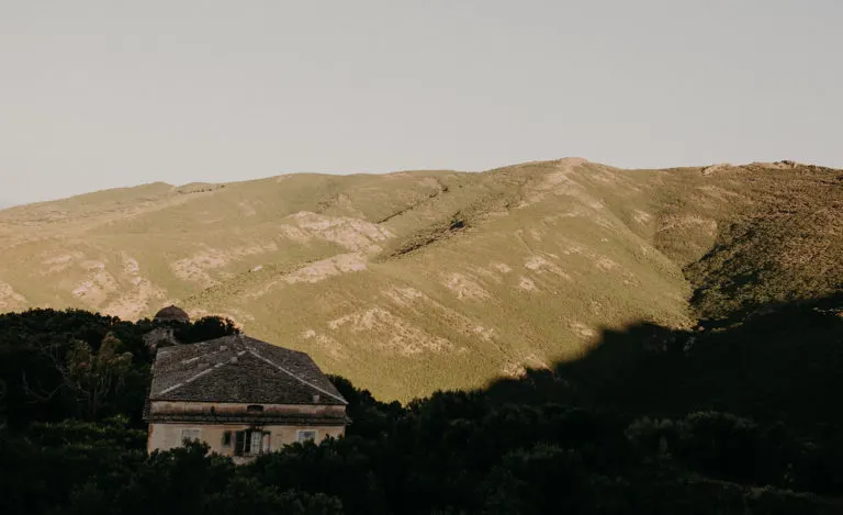 Mariage E&D à Cap Corse — photo 11