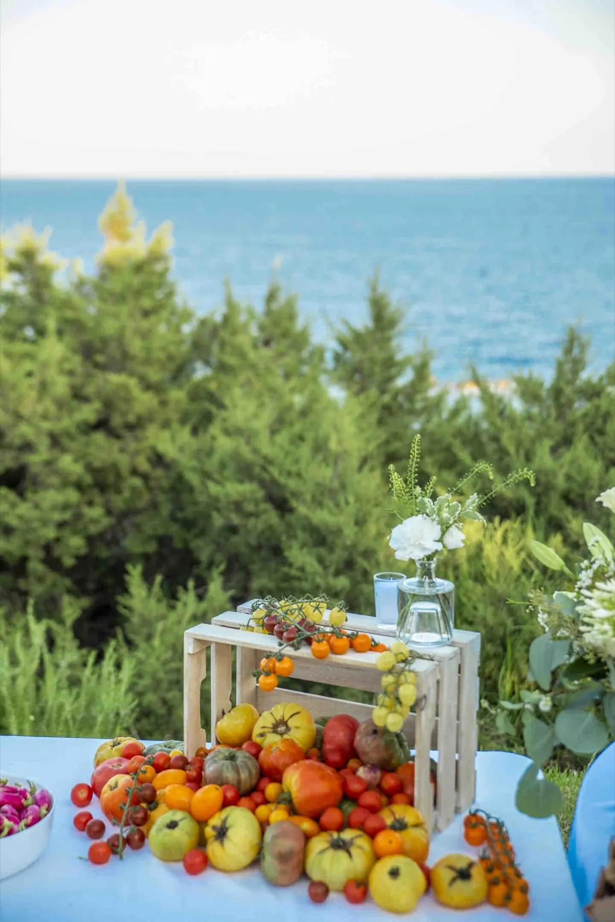 Mariage J&S à Bonifacio — photo 7